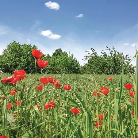 Amazing In Cosio D'arroscia W/ 1 Bedrooms *